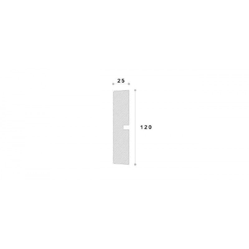 ANCADRAMENT DECORATIV FEREASTRA REMA21 120X25X2000 - Decorevo