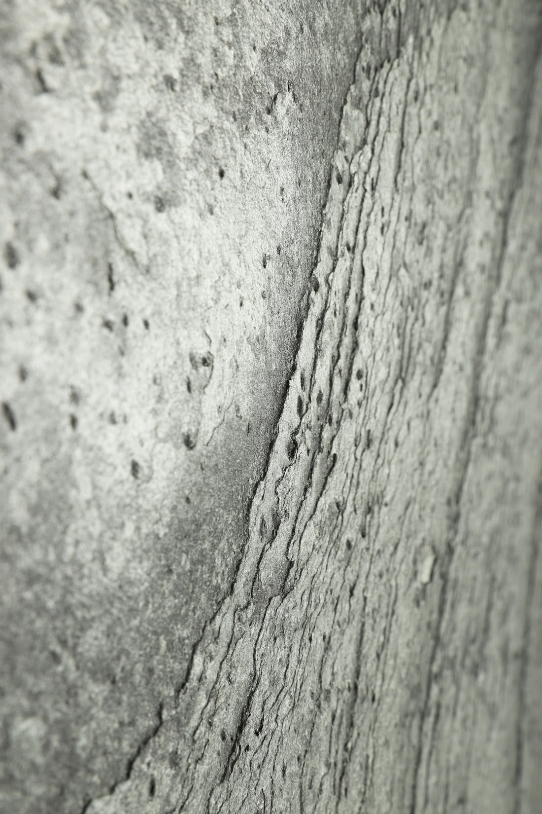 Piatra Flexibila Decorativa Silver Grey